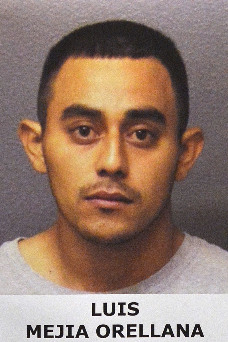 Luis Mejia Orellana